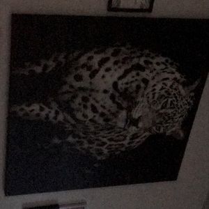 Do t want it anymore I'm changing up my house it's for sale